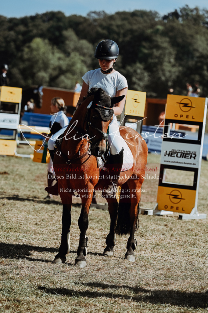 DSC_0122 | Pferde- und Turnierfotografie in Westsachsen. Pferdeportraits, Auftragszeichnungen und intuitive Kunst.