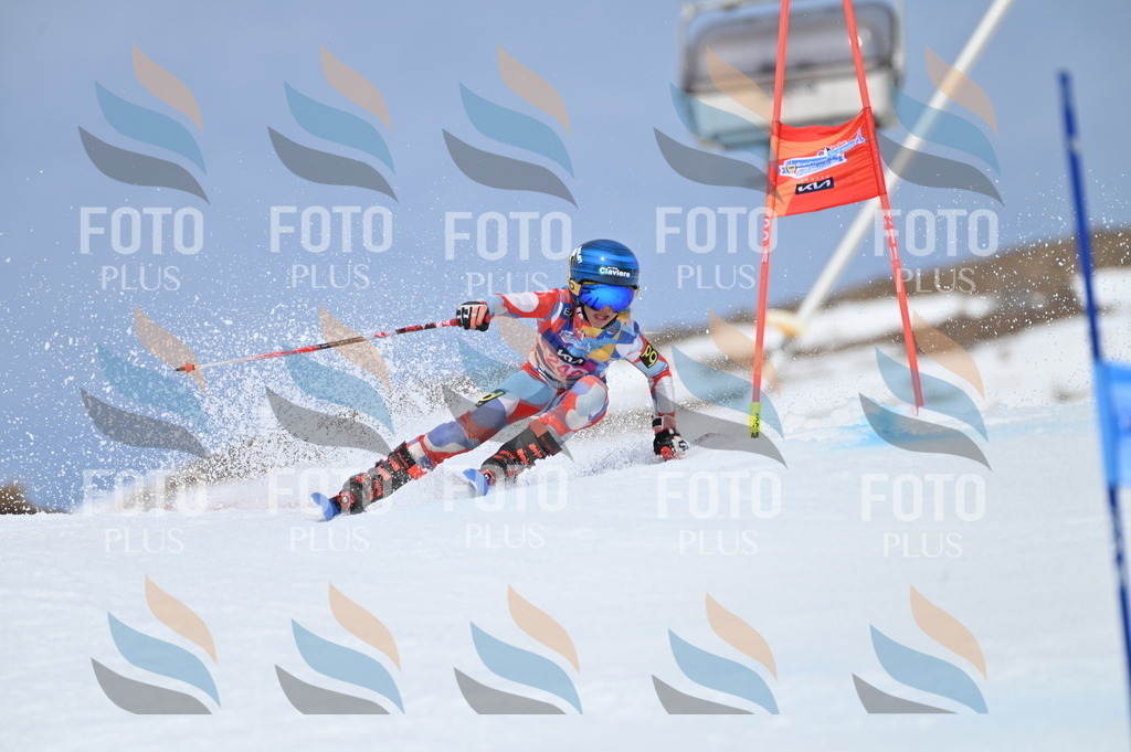 BGV_1727 | holidayphoto