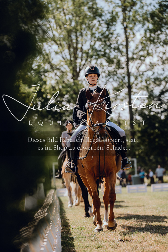 DSC_7236 | Pferde- und Turnierfotografie in Westsachsen. Pferdeportraits, Auftragszeichnungen und intuitive Kunst.