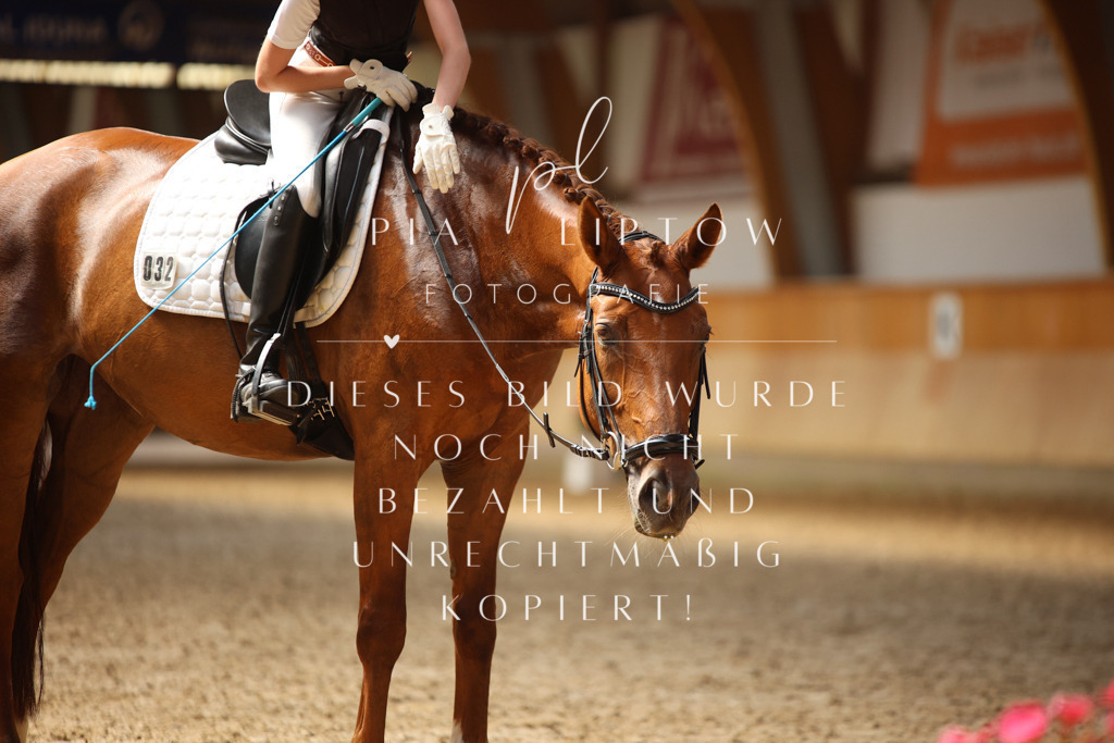 IMGM6816 | pl-fotografie