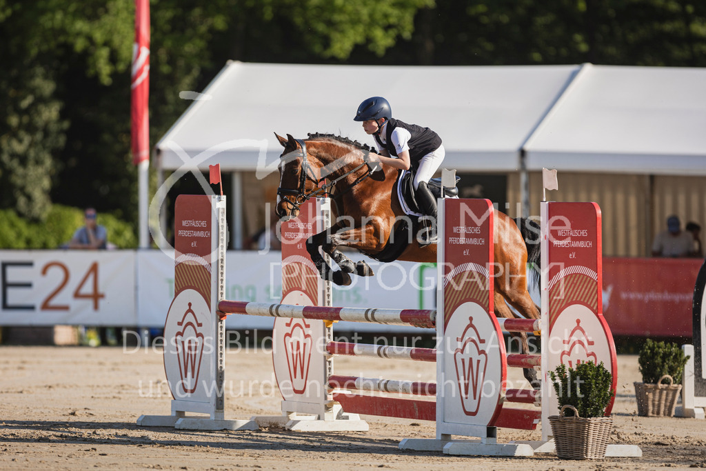 250501_MünsterHandorf_PonyTrophy-244 | Deine schönsten Turniermomente als professionelle Fotos! Entdecke hochwertige Pferdesport-Fotografie im Online-Shop. Jetzt Fotos finden & bestellen!