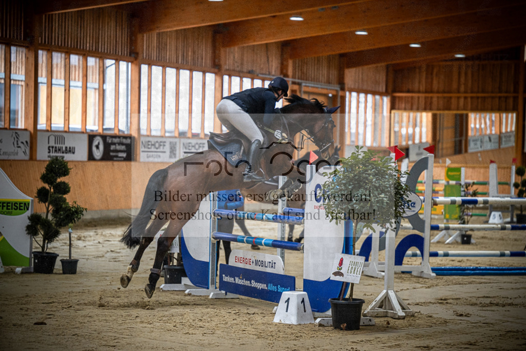 DOS_0173 | Entdecke hochwertige Reitturnierfotos von Foto Oger. Professionell, emotional und authentisch – jetzt Lieblingsmomente im Shop bestellen.Deutschlandweite Turnierfotografie. - Realisiert mit Pictrs.com