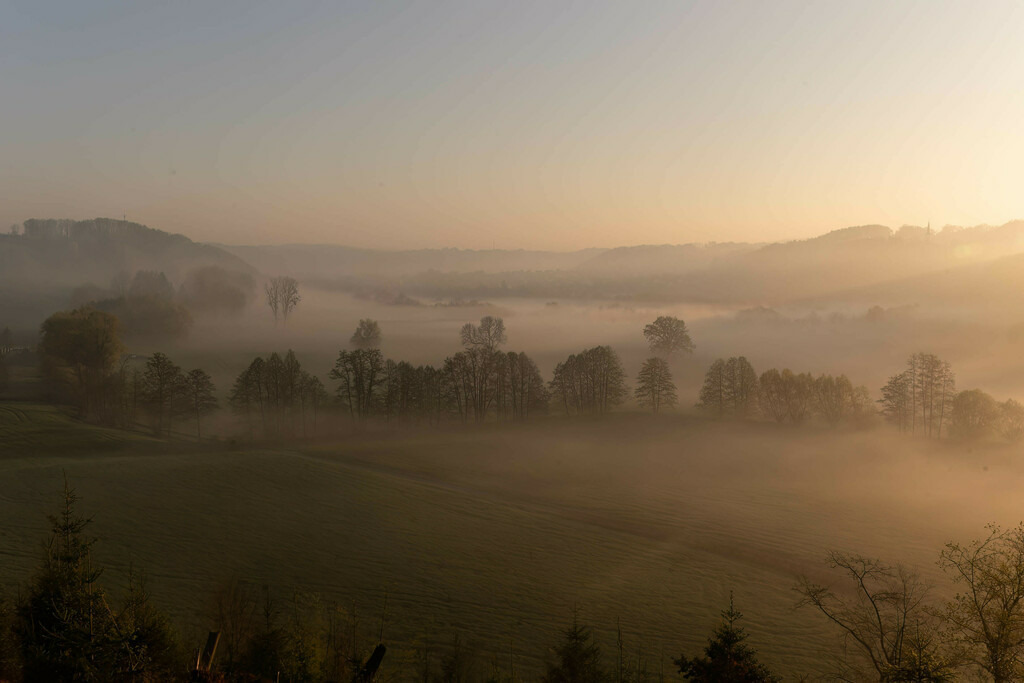 Ausblick ins Aggertal 2 | Sich an die einzigartigen Momente der Natur und Landschaft sowie die Begegnung mit heimischen wilden Tieren zu erinnern, dies kann man anhand den Bilder der Natur und Landschaftsfotografin Sandra Eimermacher.  - Realisiert mit Pictrs.com