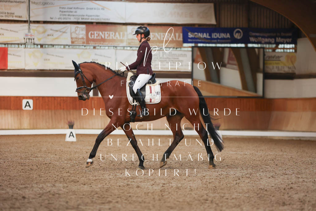 IMGM2571 | pl-fotografie