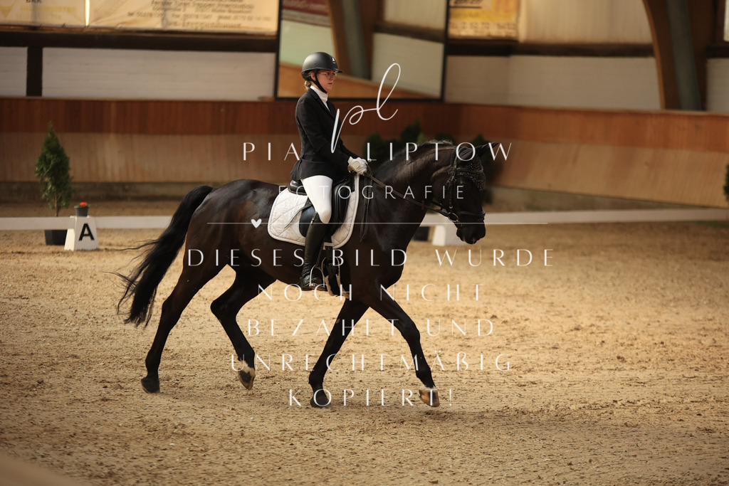 IMGT1662 | pl-fotografie