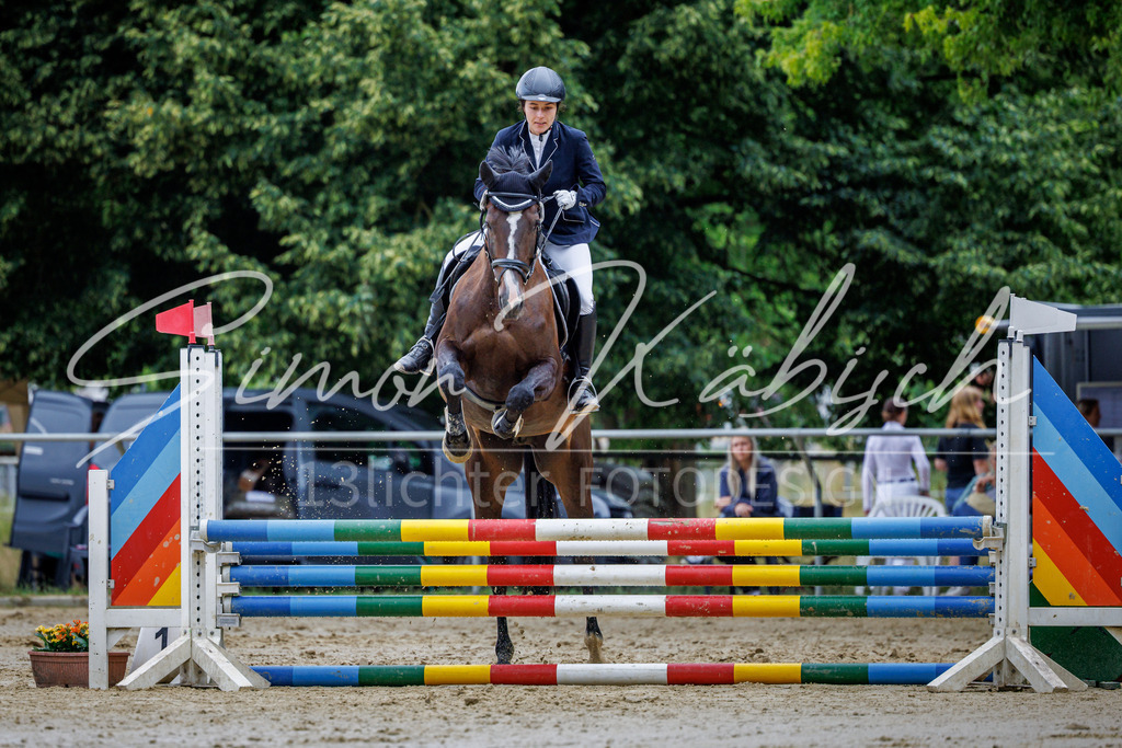 20260705-_3LI3613 | Tierfotografie Pferde, Hunde, Katzen, Haustiere.
Turnierfotografie Reitturniere, Reiten, Springreiten, Dressur in Hanau, dem Main-Kinzig-Kreis und dem Rhein-Main- Gebiet um Frankfurt