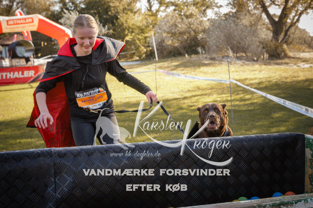 1230_ZZ96753-2 | kk-dogfotos