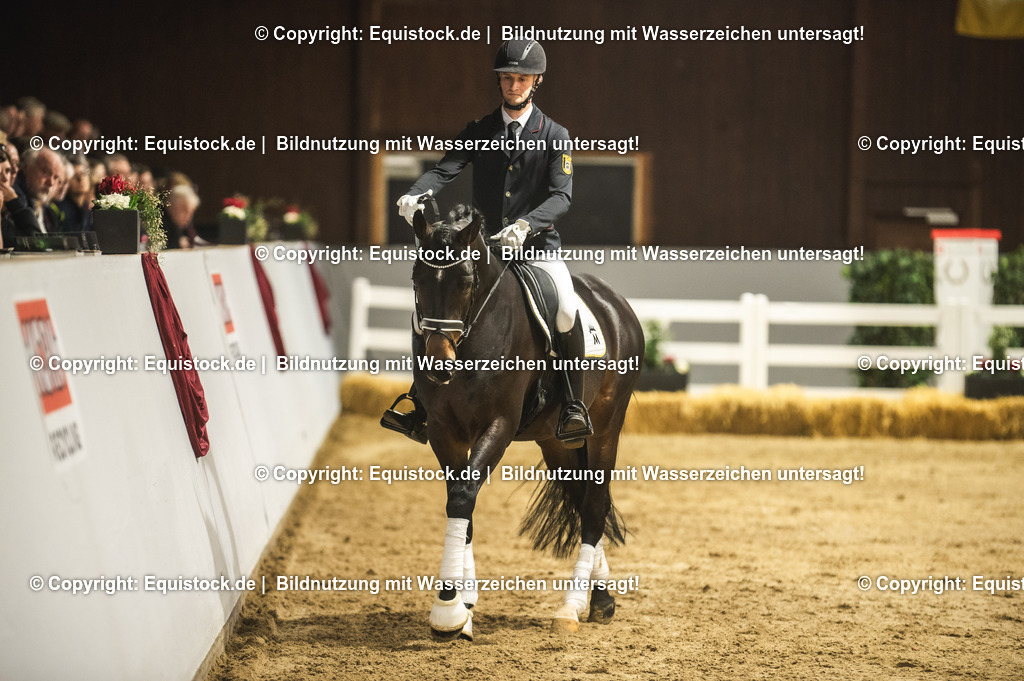 20240302_Hengstvorstellung_Marbach_TOMsPiC_0419 | equistock