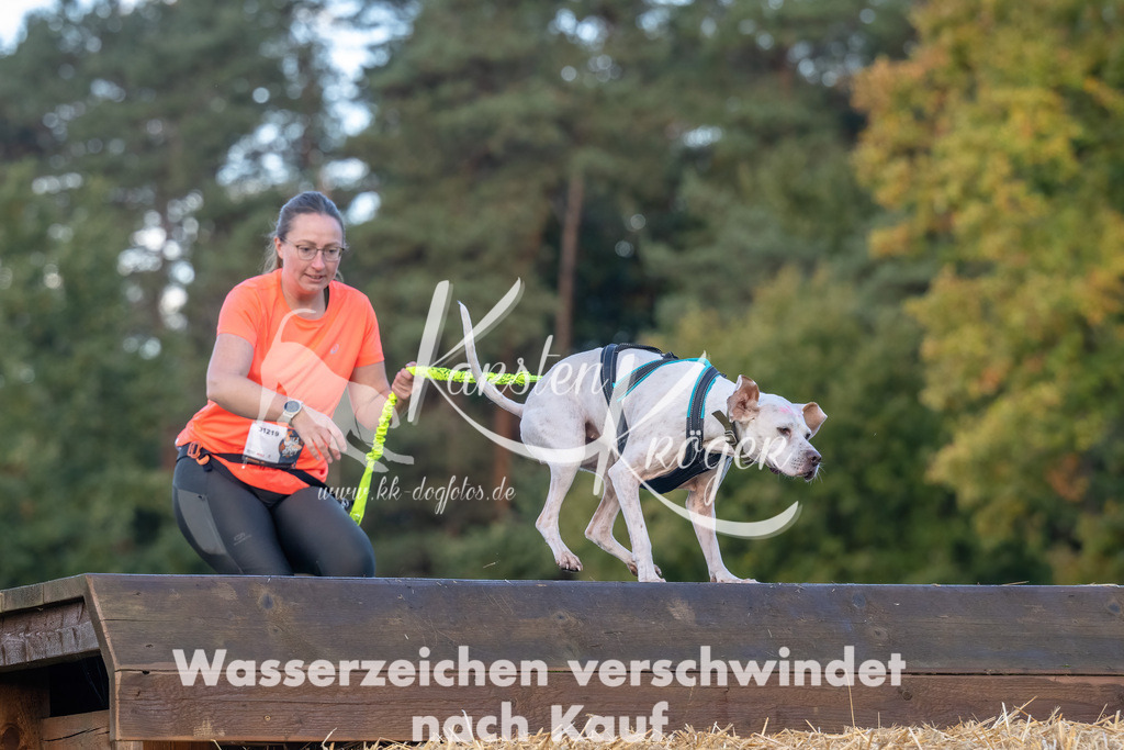 0843_ZZ91245-Bearbeitet | kk-dogfotos