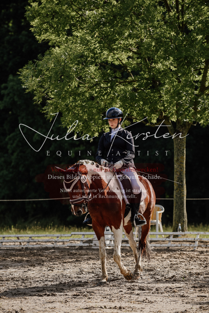 DSC_8710 | Pferde- und Turnierfotografie in Westsachsen. Pferdeportraits, Auftragszeichnungen und intuitive Kunst.