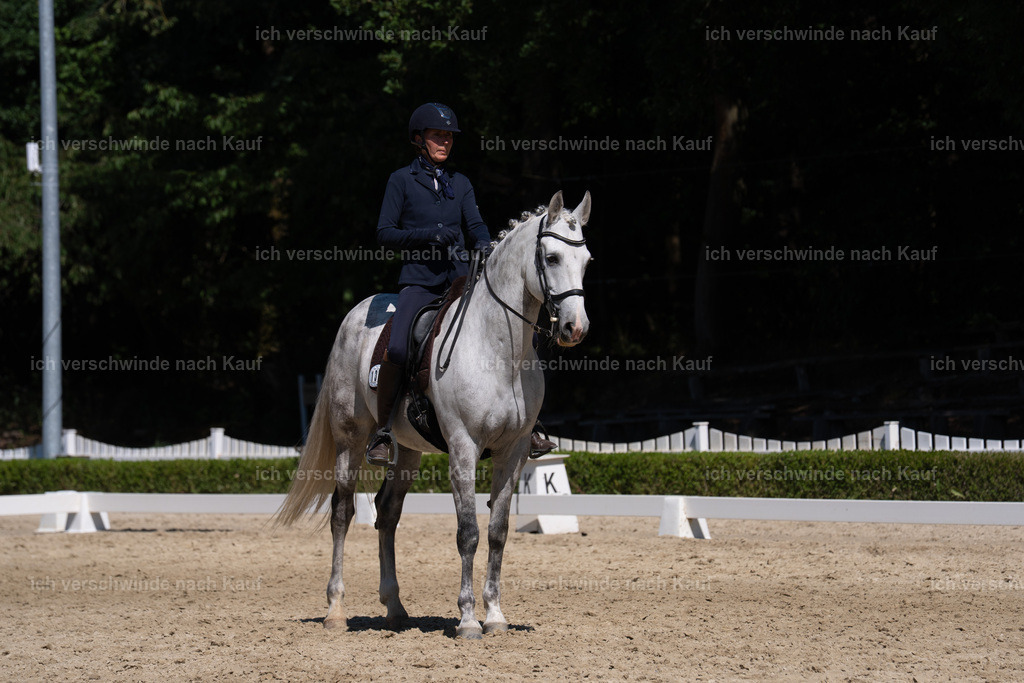 WS_DR_139_sinafilmart_IN03635 | working equitationturnier fotograf videograf stoibphotography marixx film working equitation deutschland reitsport turnierfotografie eventfotografie equestrian events