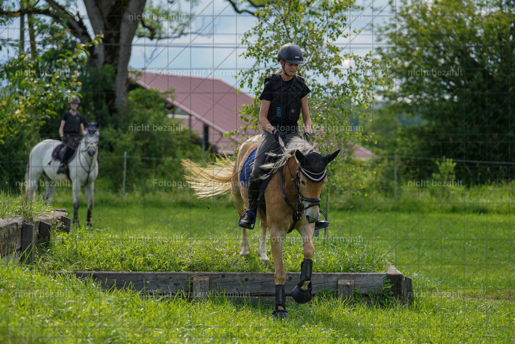 20240622-FAH08018 | Turnierfotografen Bayern, Reitsportbilder aus dem Geländekurs mit Felix Etzel auf dem Gut Waitzacker 2024