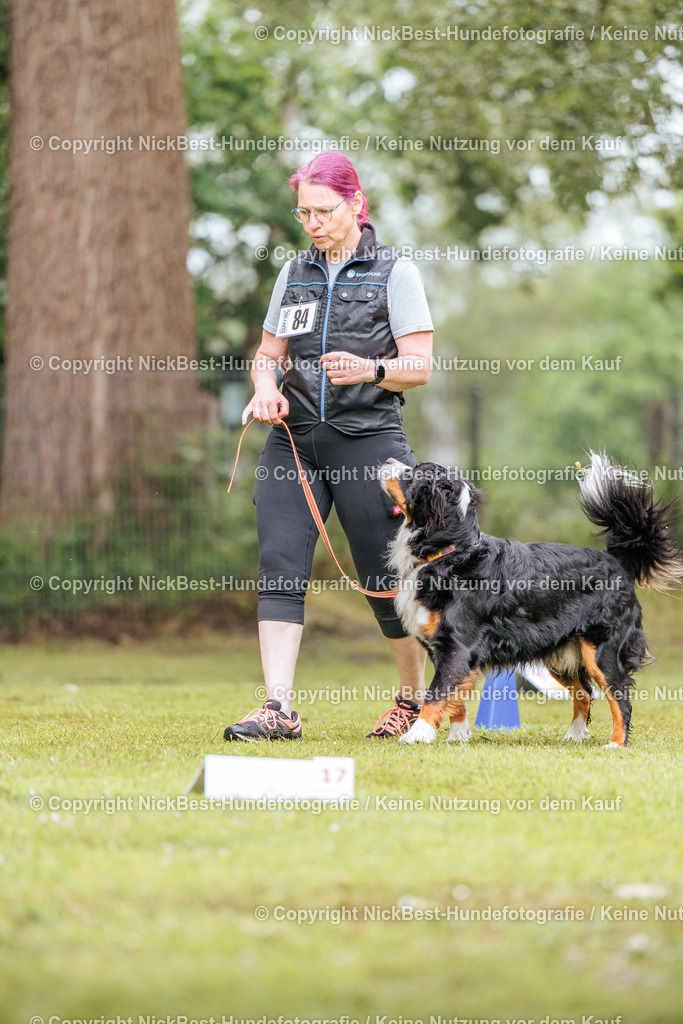 RO-Blumenthal-2026-Nickbest-Hundefotografie-3809 | Dein Hund! Dein Moment! Deine Erinnerungen! Hundefotografie in Bremen Blumenthal. Ich fange die besonderen Momente deines Vierbeiners ein – ob Indoor mit Blitzanlage oder in der freien Natur. Sicher dir dein Moment und dein Termin für eure Erinnerungen.