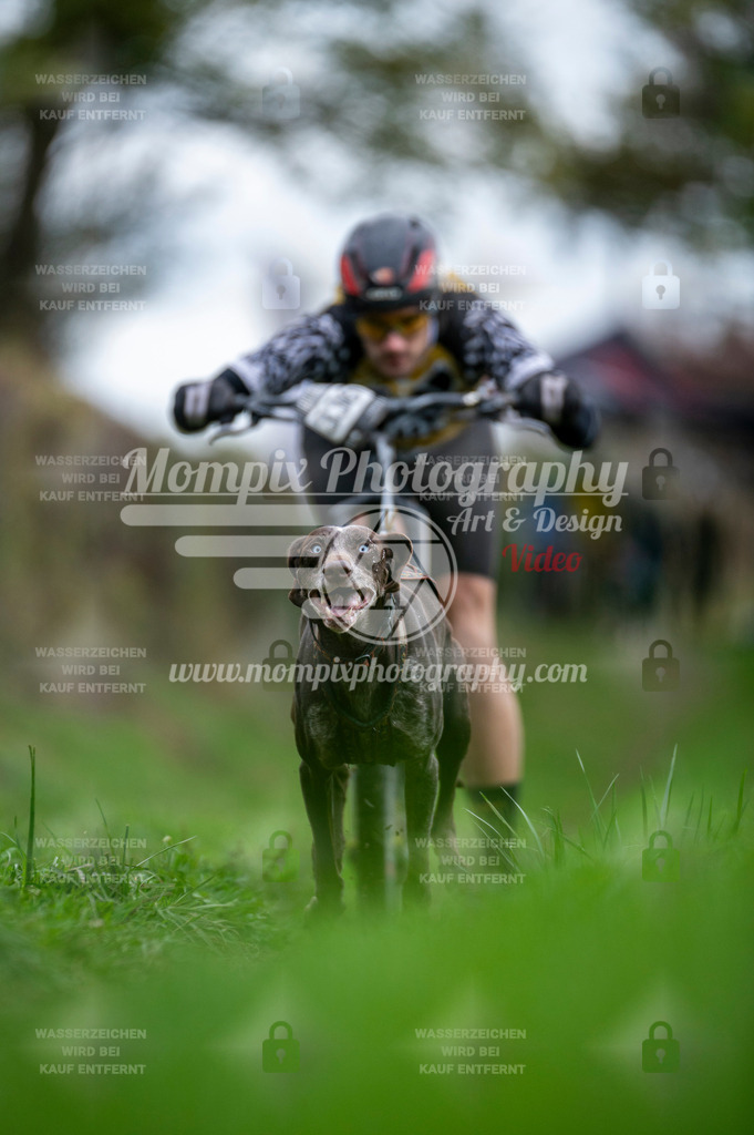 TSB_2023_E8_DS1-10 | PayLife