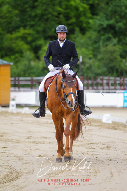 DKP47889 | Turniersportfotografie; Pferdefotografie; Dressurfotografie