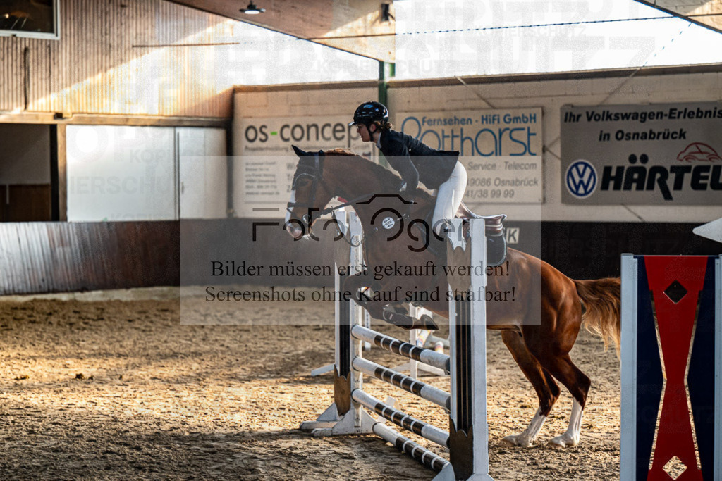 20240308-DOS_2536 | Entdecke hochwertige Reitturnierfotos von Foto Oger. Professionell, emotional und authentisch – jetzt Lieblingsmomente im Shop bestellen.Deutschlandweite Turnierfotografie. - Realisiert mit Pictrs.com