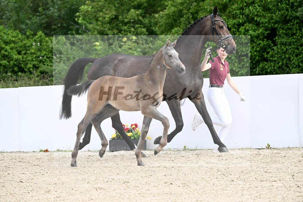 Arezzo Man x Balounito_HF_Mueller_13250182 | hf-fotografie - Realizzato con Pictrs.com