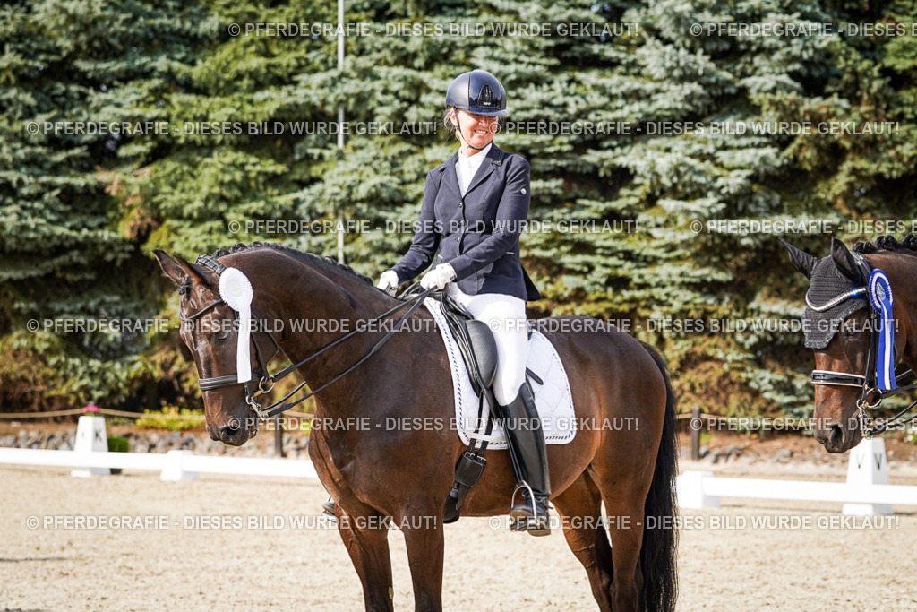 DSC07557 | Pferdegrafie