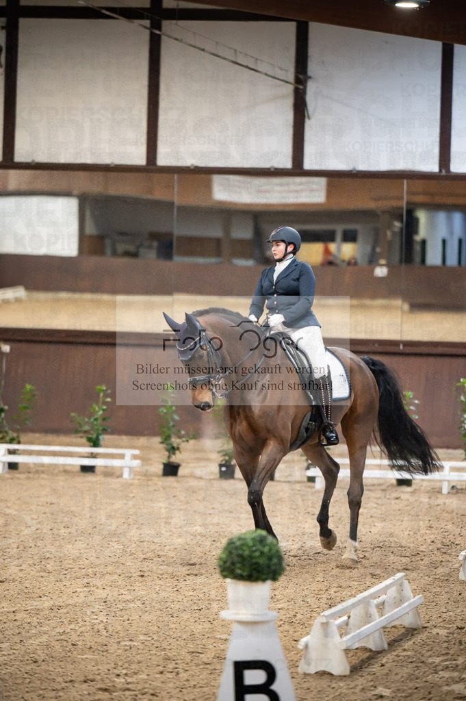 Hallenreittunier Voxtrup 2023 | Entdecke hochwertige Reitturnierfotos von Foto Oger. Professionell, emotional und authentisch – jetzt Lieblingsmomente im Shop bestellen.Deutschlandweite Turnierfotografie. - Realisiert mit Pictrs.com