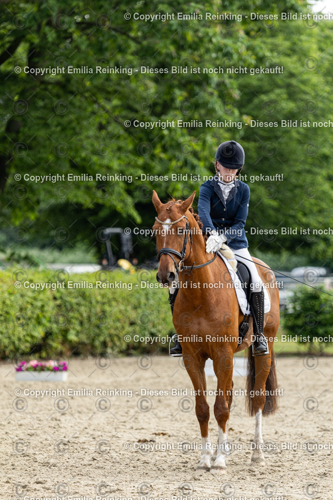 CL5A5148 | Emilia Reinking Fotografie - Realisiert mit Pictrs.com