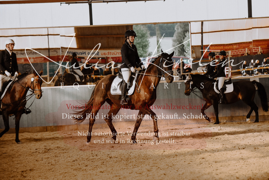 DSC_7553 | Pferde- und Turnierfotografie in Westsachsen. Pferdeportraits, Auftragszeichnungen und intuitive Kunst.