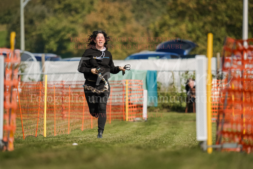 20250928_Hunderennen-473 | MuT (Mensch und Tier) mit Mona - Fotografie und Tierkommunikation - Realisiert mit Pictrs.com