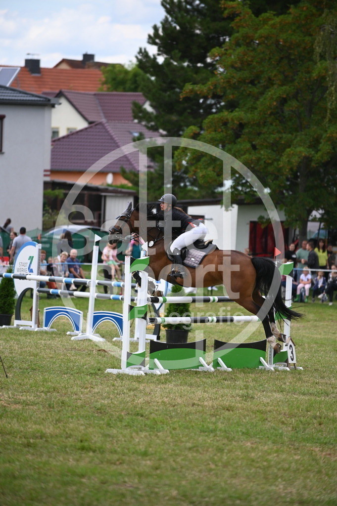 DSC_6971 | sattelsport - Realisiert mit Pictrs.com