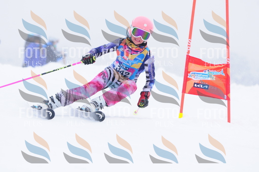 C3668 | holidayphoto