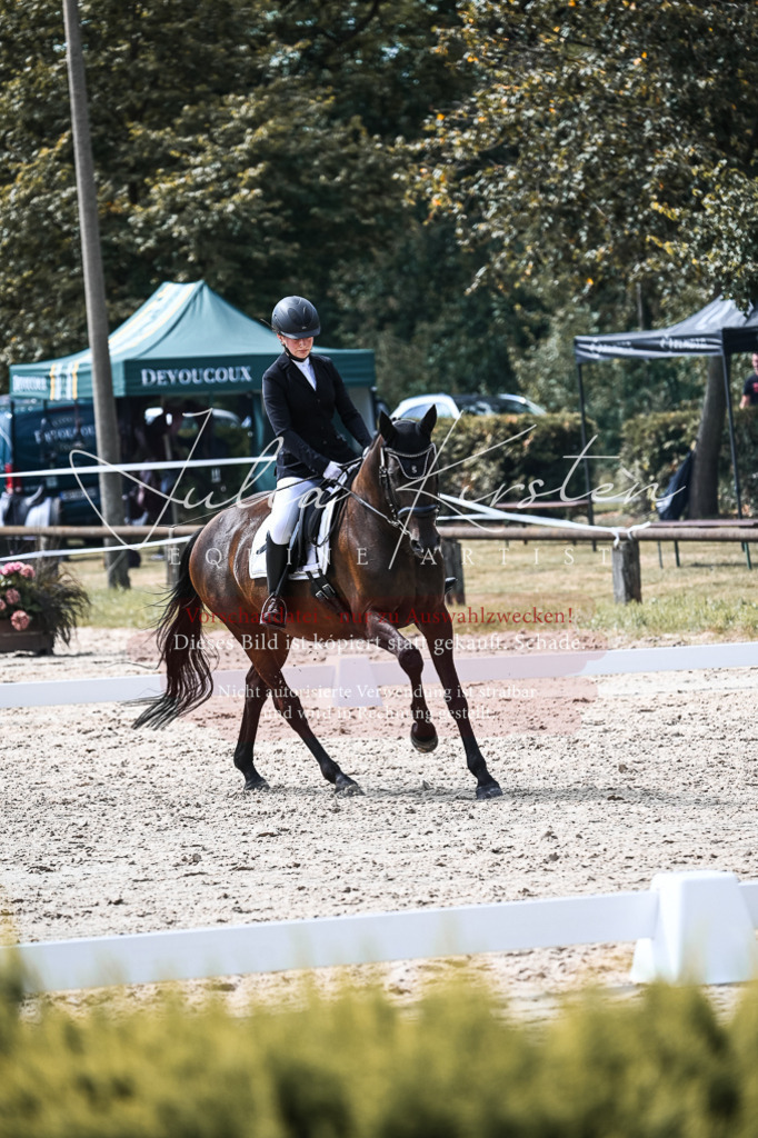 DSC_5262 | Pferde- und Turnierfotografie in Westsachsen. Pferdeportraits, Auftragszeichnungen und intuitive Kunst.