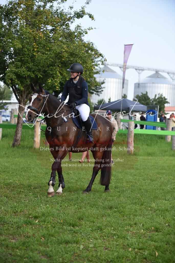 DSC_8602 | Pferde- und Turnierfotografie in Westsachsen. Pferdeportraits, Auftragszeichnungen und intuitive Kunst.