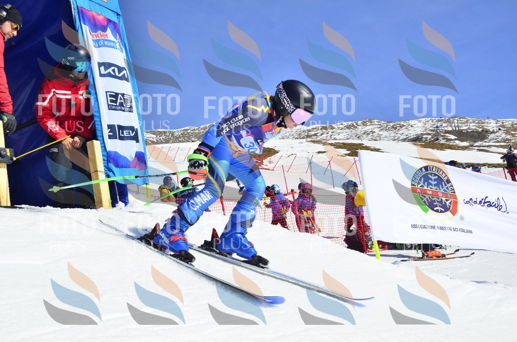 _ELE9971 | holidayphoto