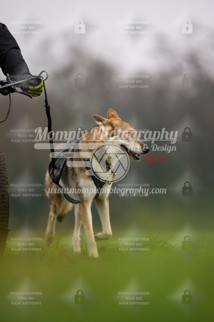 MompixPhotography_CDF2023_FFST_Di_Bike1-138 | PayLife