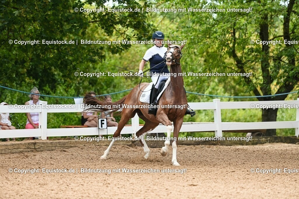 20230715_07_Dressurpferdeprfg. Kl.L_0027 | equistock