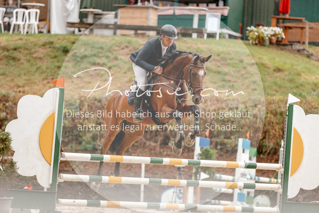 3I6A5735 | Stimmungsvolle Portraits und Reitsportfotografie im Ruhrgebiet und im Münsterland.

Pferdefotografie, Hundefotografie, Tierfotografie, Reportagen, Portraits von Tier und Mensch, Turnierfotografie in Bochum, Recklinghausen, Marl, Haltern am See, Dülmen.. - Realisiert mit Pictrs.com
