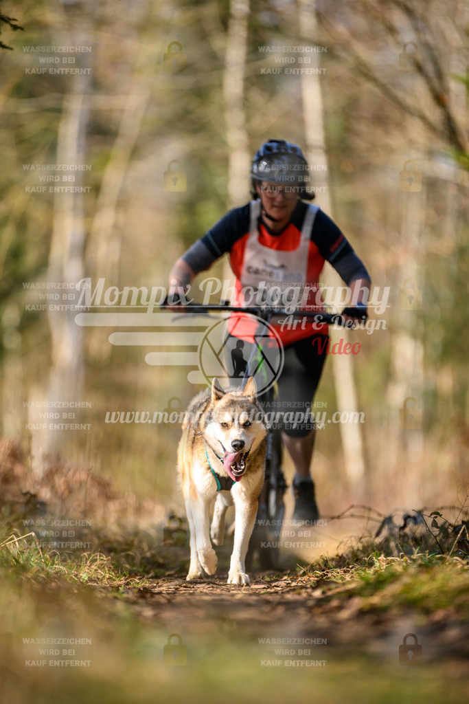 MompixPhotography_6ReiatRennen2026_SO_Scooter-28 | PayLife