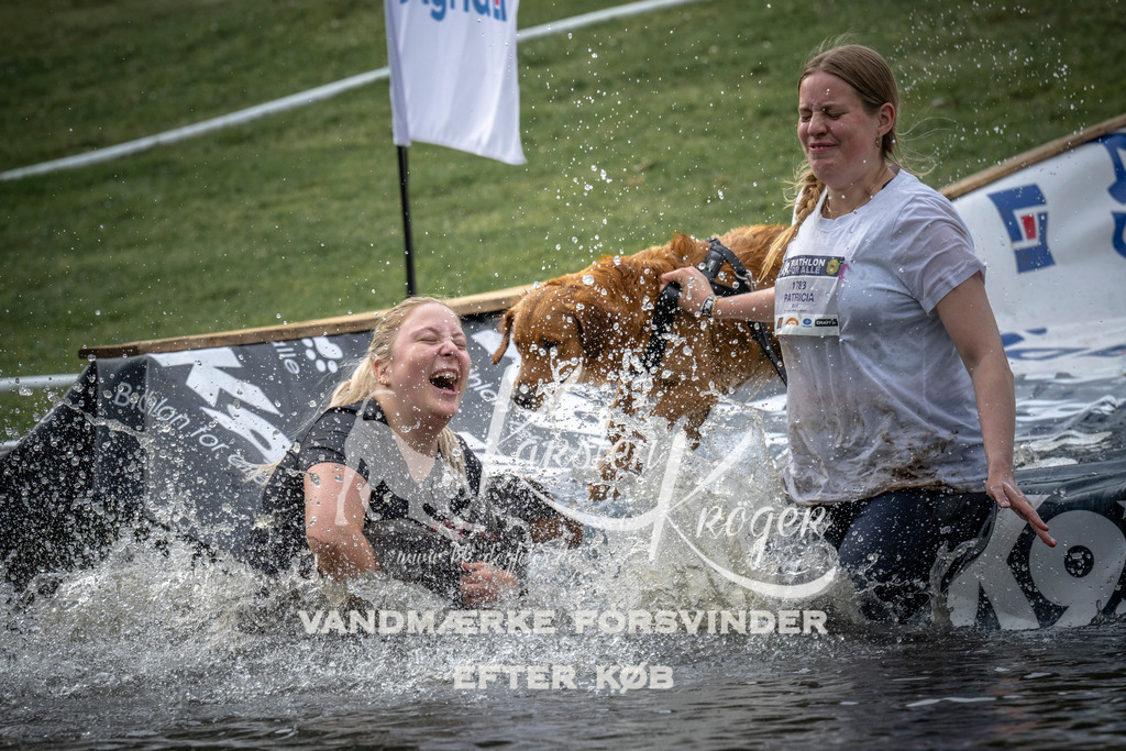 1645_ZZ99256 | kk-dogfotos