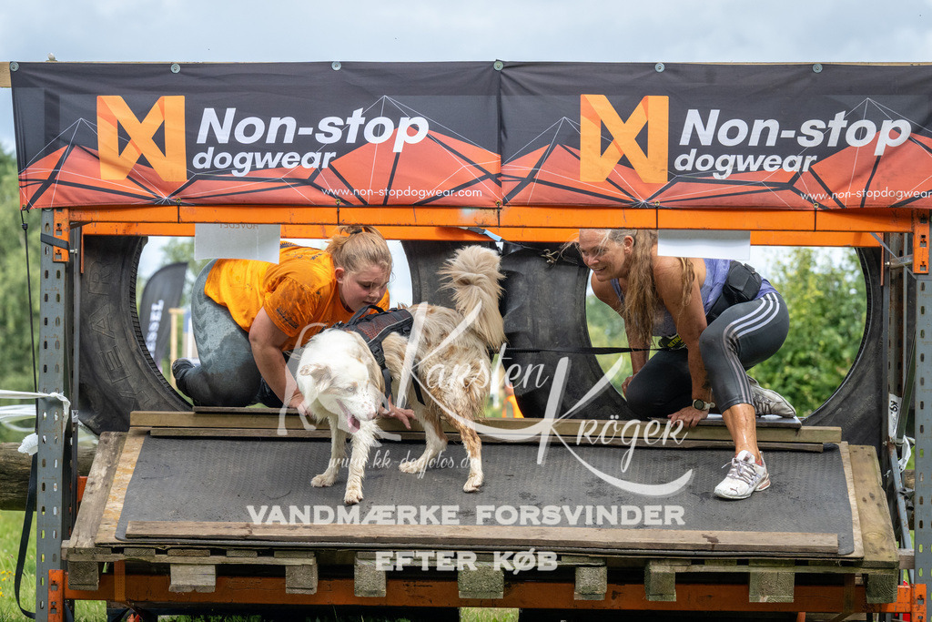 1210_ZZ93585 | kk-dogfotos