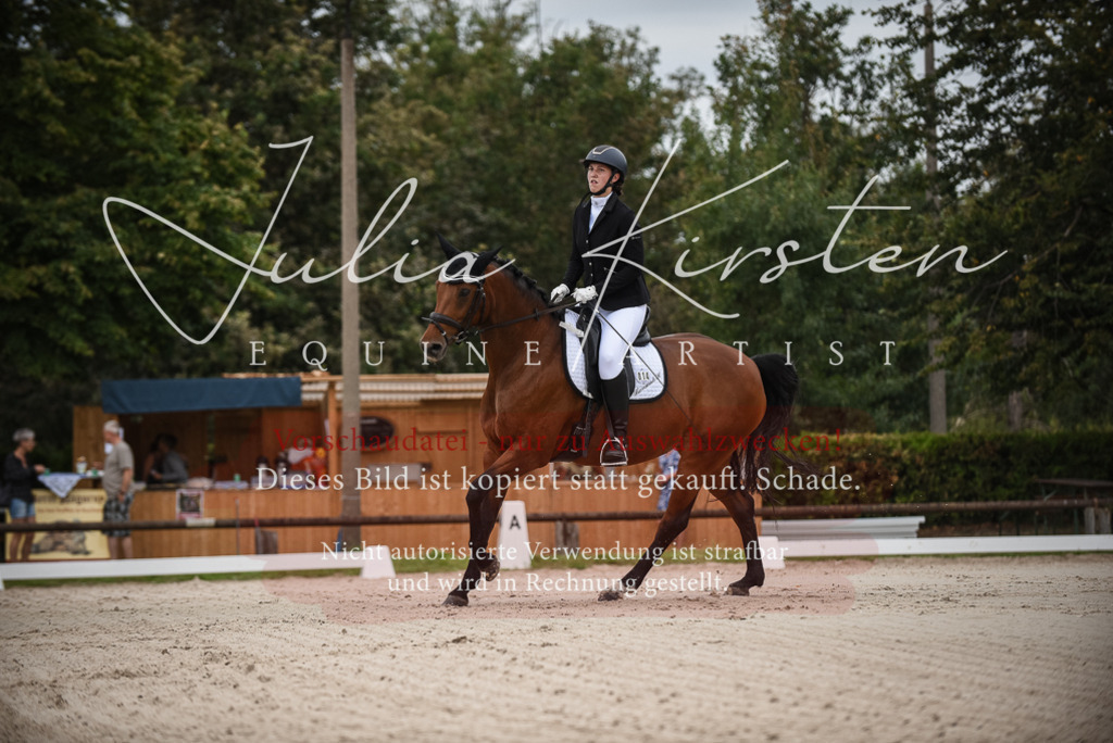 DSC_7979 | Pferde- und Turnierfotografie in Westsachsen. Pferdeportraits, Auftragszeichnungen und intuitive Kunst.