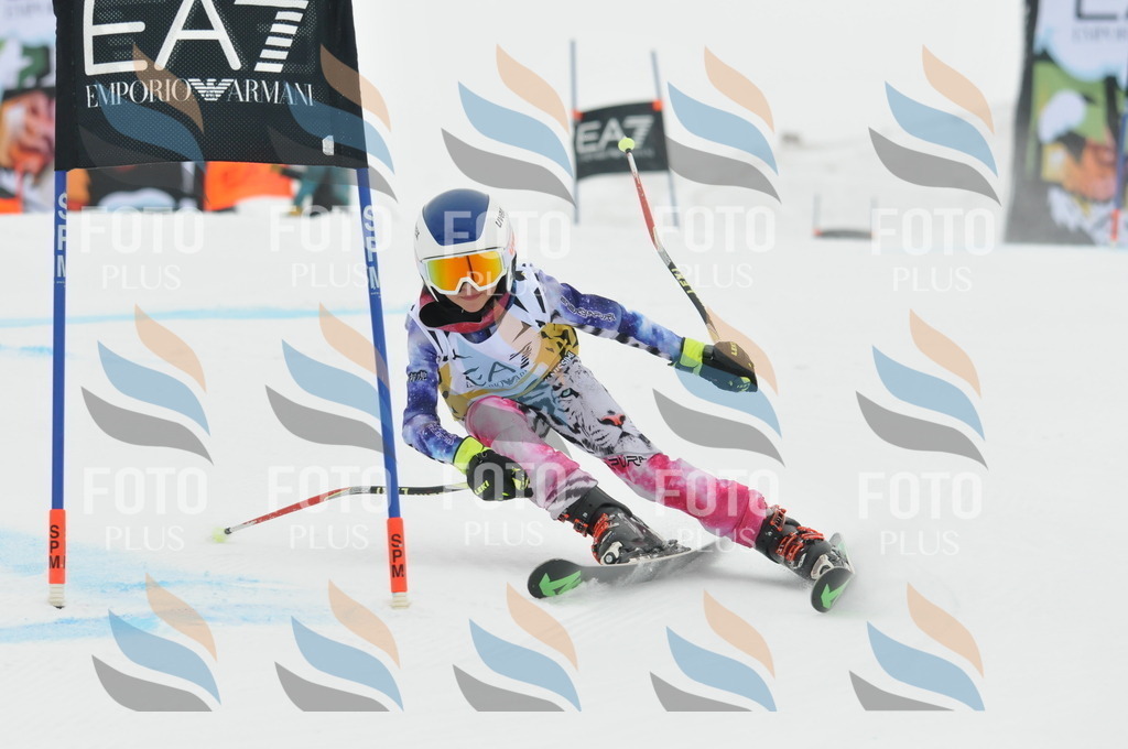 DSC_8339 | holidayphoto