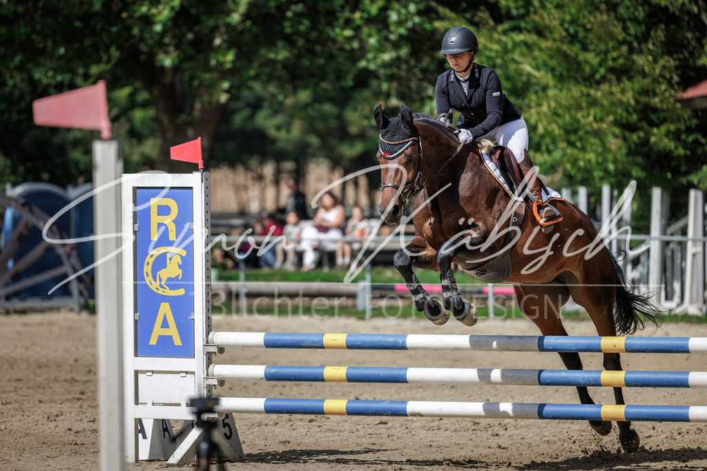 20260905-_3LI8767 | Tierfotografie Pferde, Hunde, Katzen, Haustiere.
Turnierfotografie Reitturniere, Reiten, Springreiten, Dressur in Hanau, dem Main-Kinzig-Kreis und dem Rhein-Main- Gebiet um Frankfurt