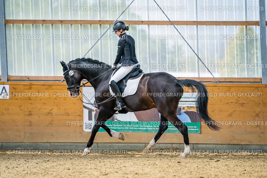 DSC04141 | Pferdegrafie