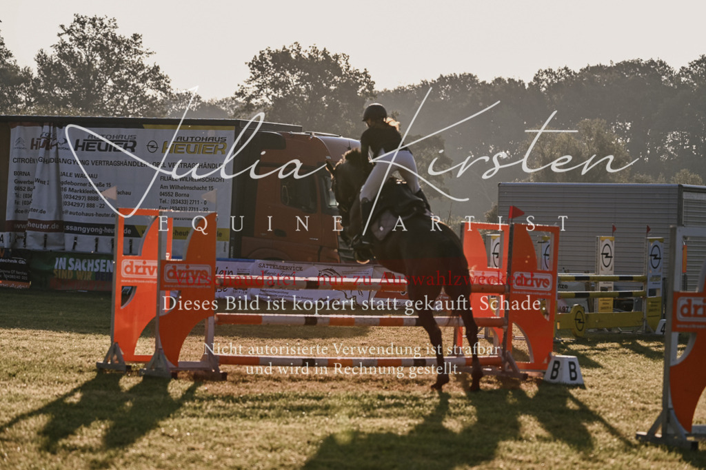 DSC_3790 | Pferde- und Turnierfotografie in Westsachsen. Pferdeportraits, Auftragszeichnungen und intuitive Kunst.