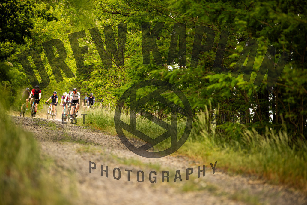 DKP-0066 | Drew Kaplan Photography