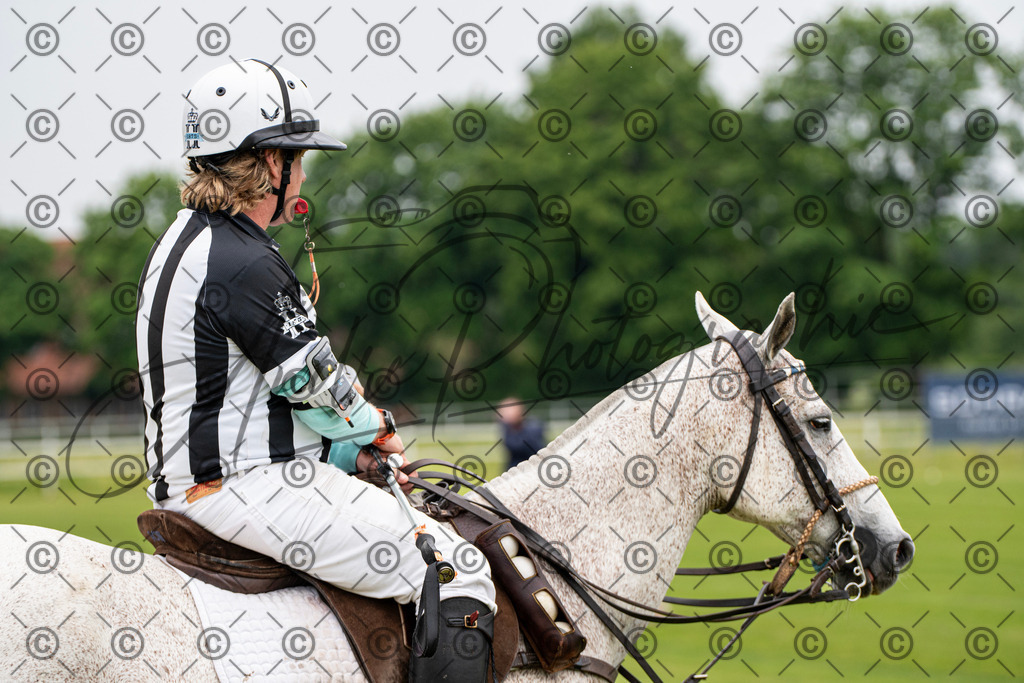 POL_2870 | andre_photographic