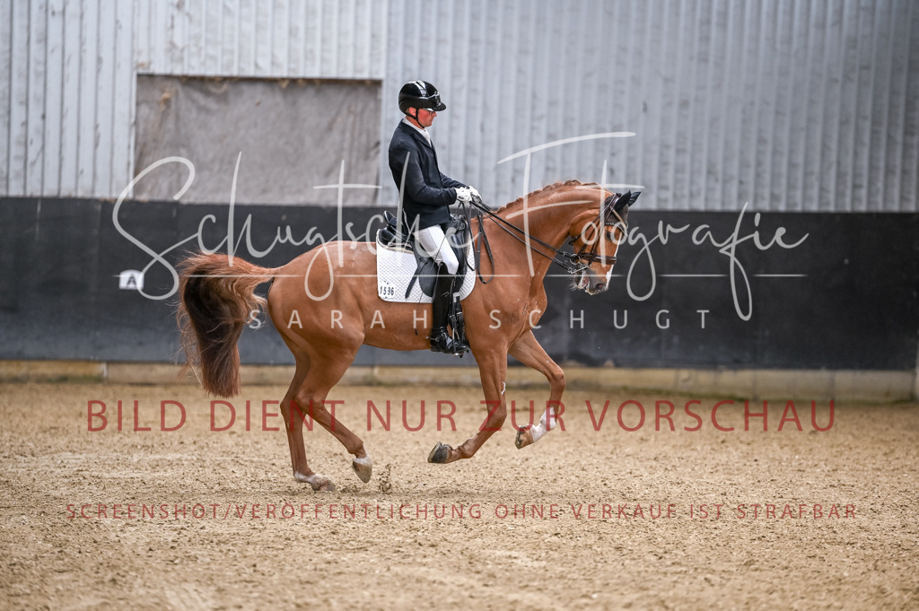 Schugtsche-Aluta25-57.Dressurprf.M1Kand-13 | Schugtsche Fotografie - Realisiert mit Pictrs.com