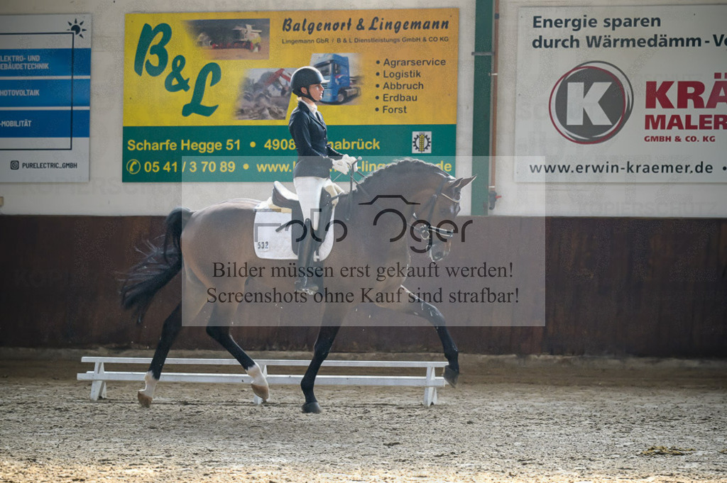 Reitturnier Voxtrup | Entdecke hochwertige Reitturnierfotos von Foto Oger. Professionell, emotional und authentisch – jetzt Lieblingsmomente im Shop bestellen.Deutschlandweite Turnierfotografie. - Realisiert mit Pictrs.com