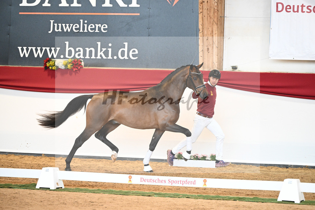 Kat-Nr. 55 Va Bene x Goldberg_Kuntz_43230532 | hf-fotografie - Realisiert mit Pictrs.com