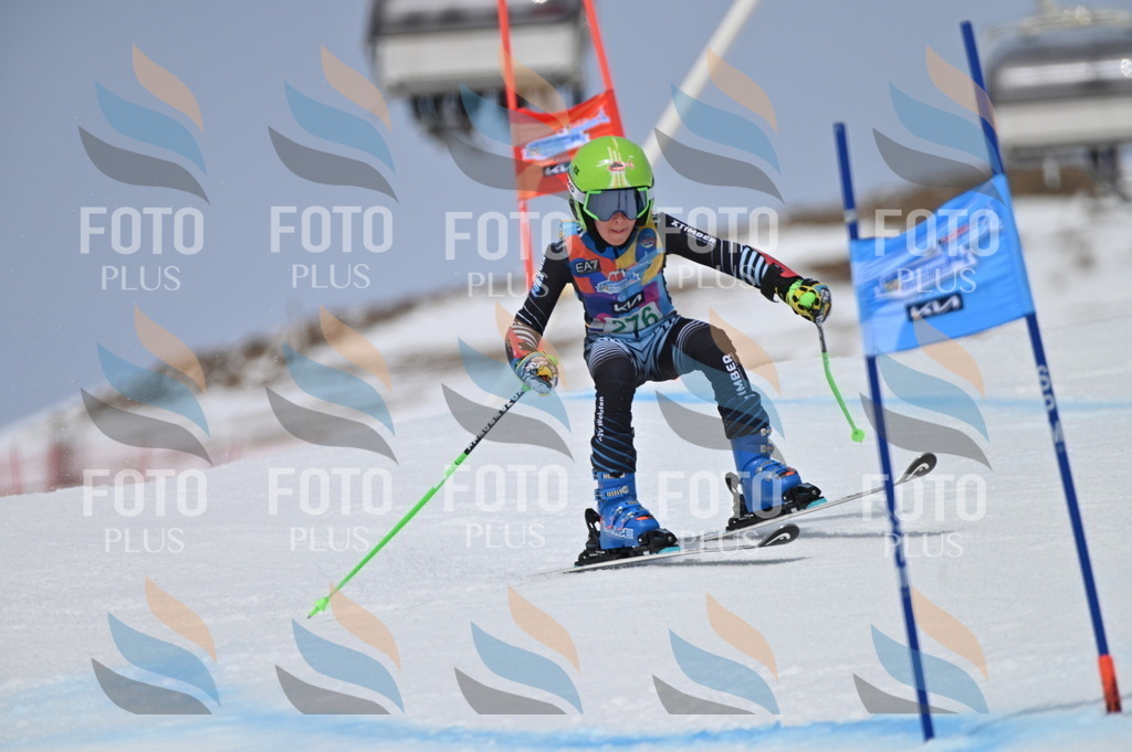 BGV_5479 | holidayphoto