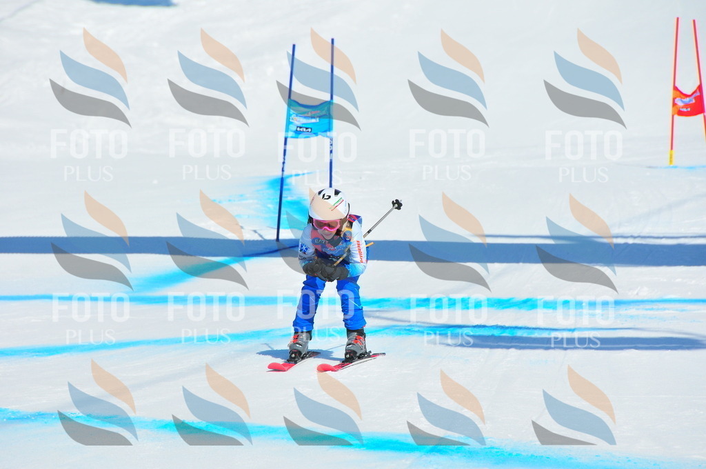 DSC_0944 | holidayphoto