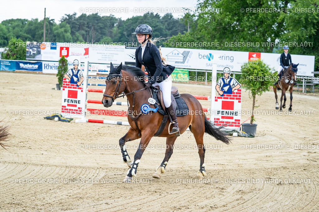 DSC03916 | Pferdegrafie